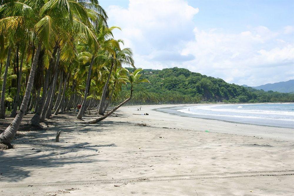 Hotel Villa Teca Manuel Antonio Εξωτερικό φωτογραφία